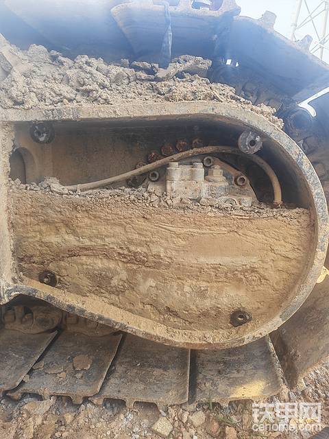 空闲时间给它洗脚，推油！