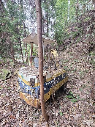 发布了一条动态