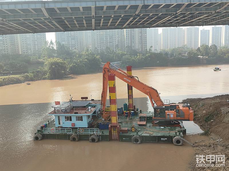 桥底歇息中-帖子图片