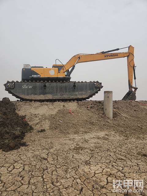 发布了一条动态