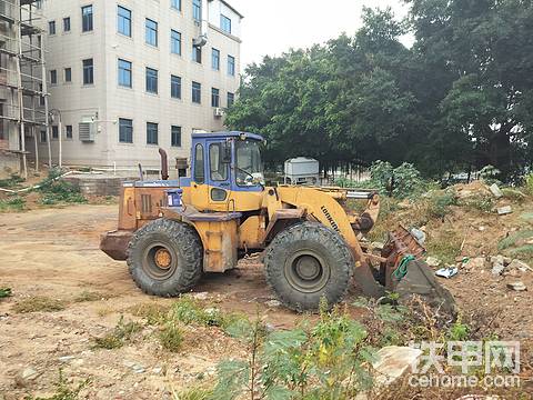 发布了一条动态