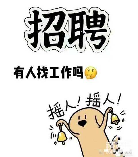 发布了一条动态
