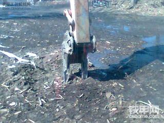 大家来看看·这是什么东西