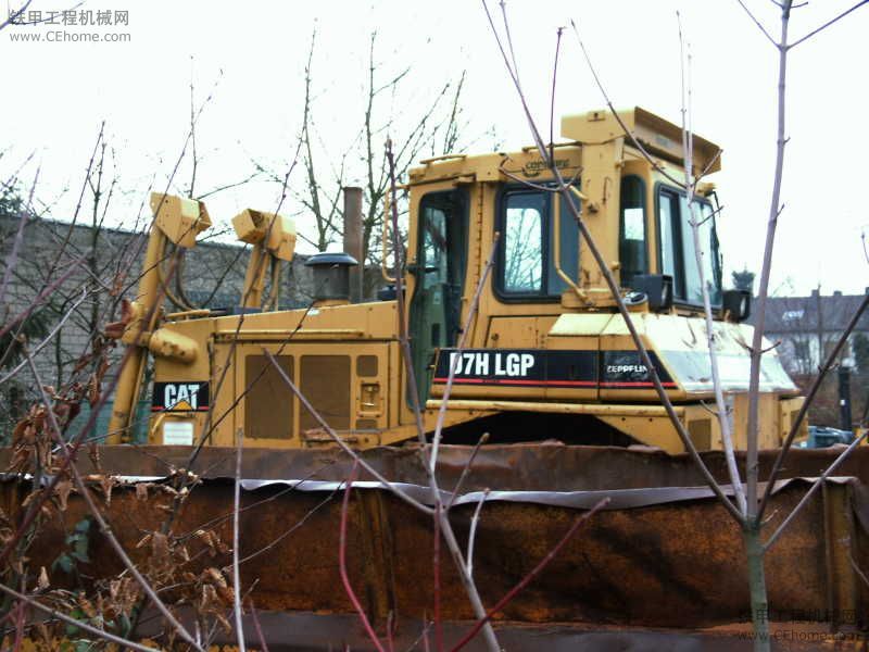 Cat D 7 H