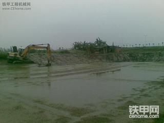 今天挖鱼塘挖到的家伙