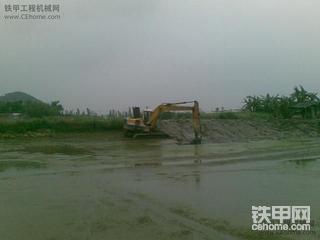 今天挖鱼塘挖到的家伙