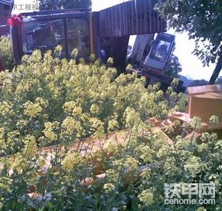 可惜啊，又是新车众友挖机翻了