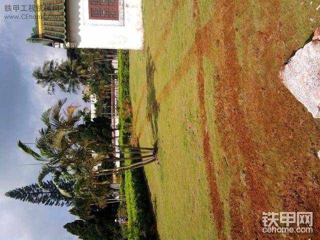 紀(jì)念園內(nèi)綠化
