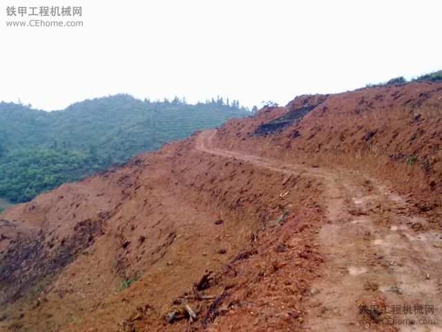 剛從山里回來(lái)......... 到挖山哦