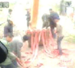 利用挖机放鞭炮