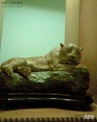 我爱我挖---虎视眈眈