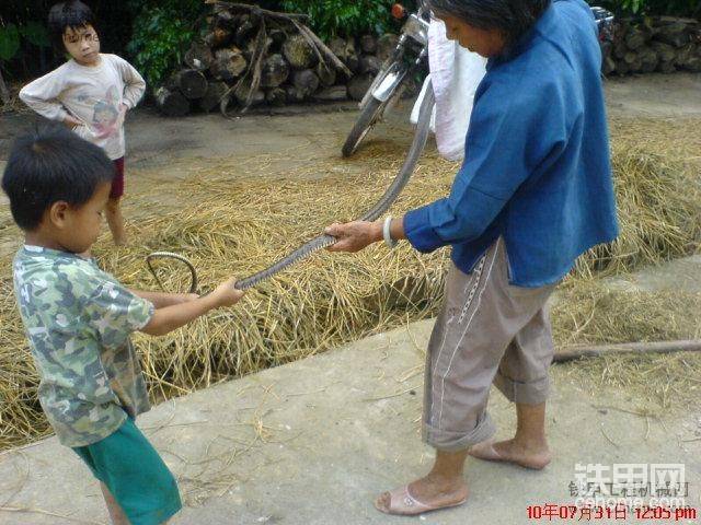小孩子胆子不小哦