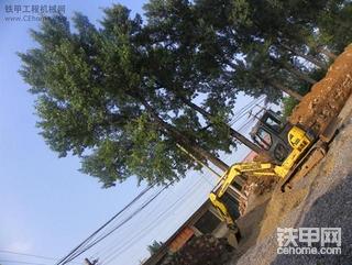 今天照的小松PC55MR挖掘机（带车贴）