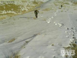 我一直在路上  何时到尽头！！