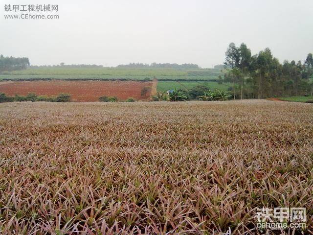 路邊的風景