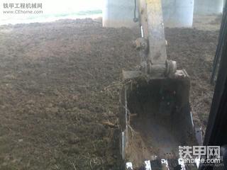 很黄很暴力。小挖齐上阵