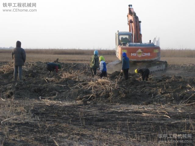 靠挖草賺錢的工地