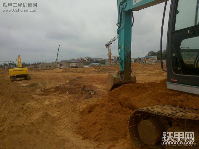 公司的社友
