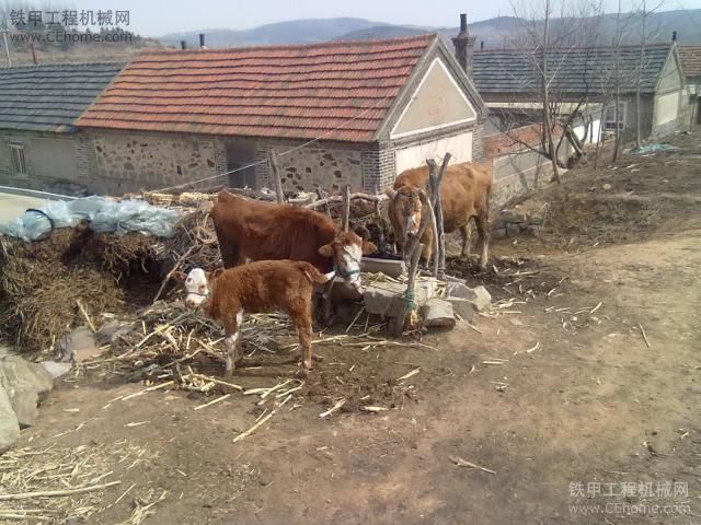 大家来看《凯斯》挖掘机之二