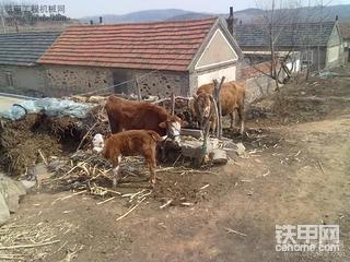 大家來看《凱斯》挖掘機之二