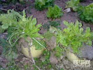 3月~4月随拍