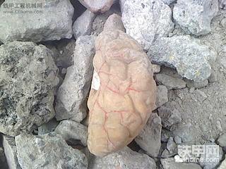 图是不多  但是看到着实叫人触目惊心...工地上拍的  汗..