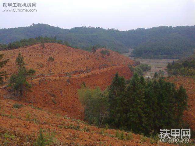   忽忽 福建的山我照用挖機(jī)翻而且 還是小挖