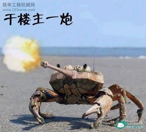 大家看看这是什么型号的机。。。。