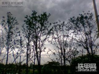 昨天的大雨。