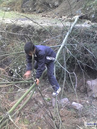 2008年初五   二苯苯就进了山