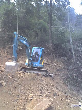 2008年初五   二苯苯就进了山