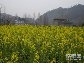 油菜花中的二笨笨！