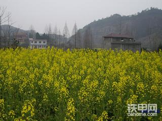 油菜花中的二笨笨！