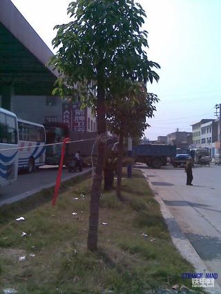 加油难！加黑市有都难上加难！