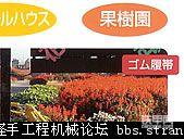 女士开小松PC01挖掘机