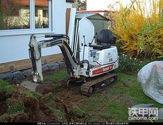 山猫（Bobcat）小挖图赏