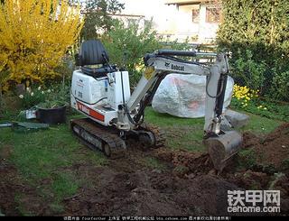 山猫（Bobcat）小挖图赏