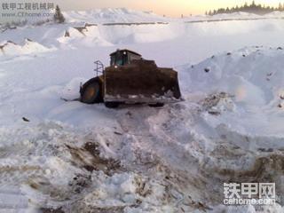 看看受伤的卡特 全部都是卡特事故