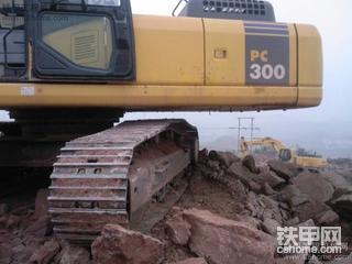 小动物之营业中···