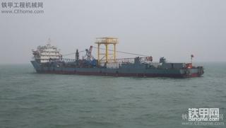 我在北海拍到的，哈哈，都是大家伙