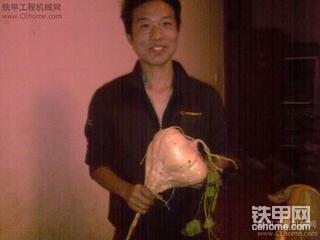 我見過最大的地瓜
