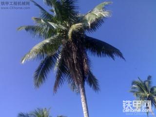 今天的工作  有机会大家来海南看看玩玩