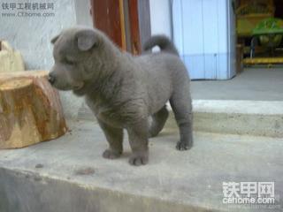 今天去看了开利勃海尔的MM！