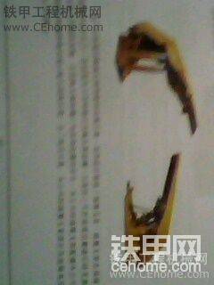 圖片