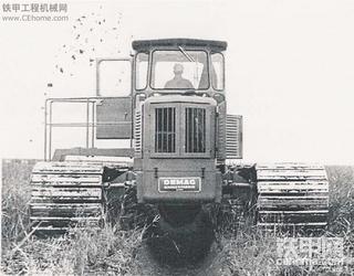 大伙儿说说这家伙学名叫什么啊