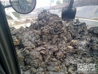 老板把我当牛用