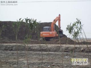 卡特小松日立神鋼挖掘機(jī)靚圖