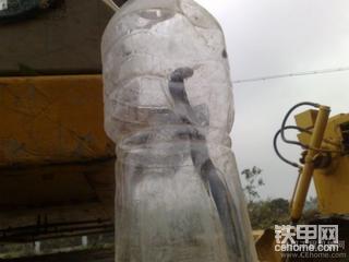我捉的蛇!准备拿来泡酒!