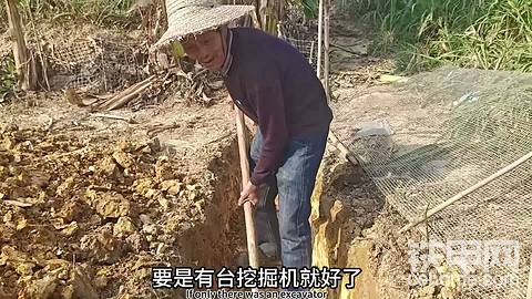 发布了一条动态